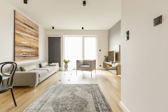 Front view of a modern living room interior with a vintage rug,